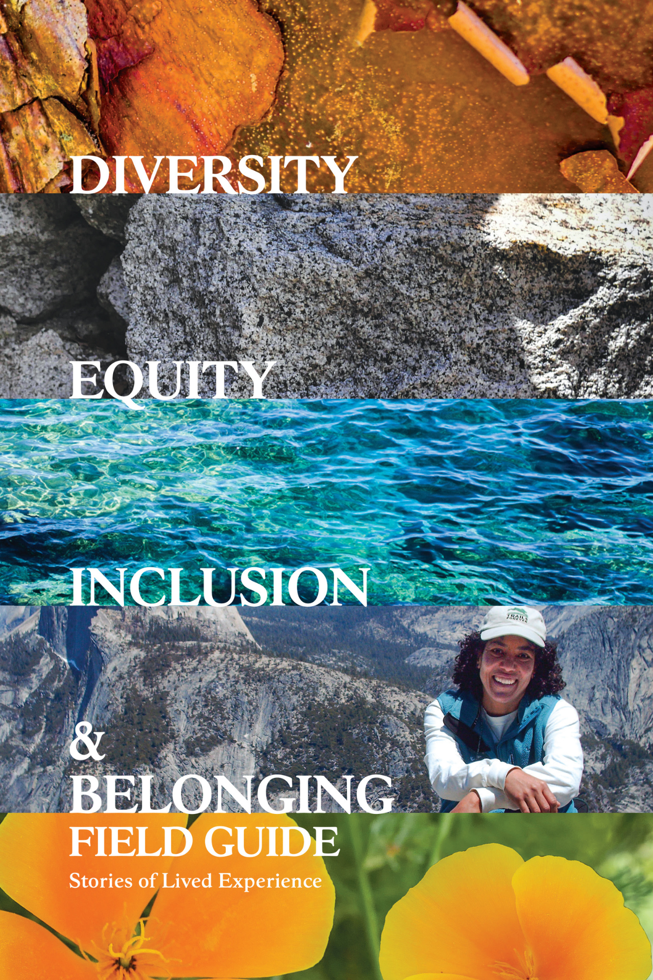 Cover of Diversity, Equity, Inclusion, and Belonging Field Guide: Stories of Lived Experience.