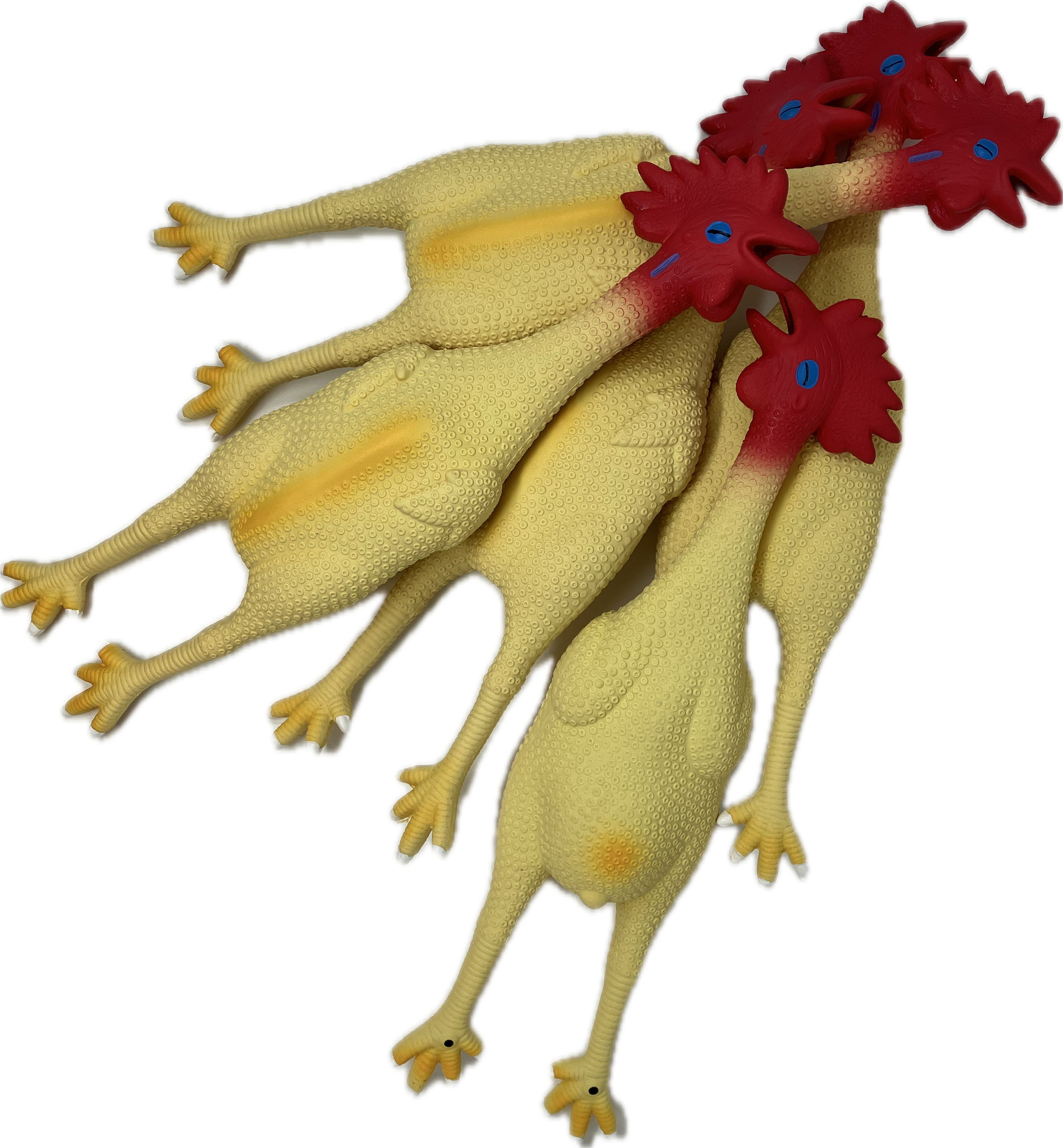 Five bright rubber chickens and a stuff sack, ready for a lively group game.