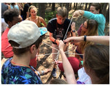 Participants working together to untangle a colorful knot of ropes during a team-building activity.