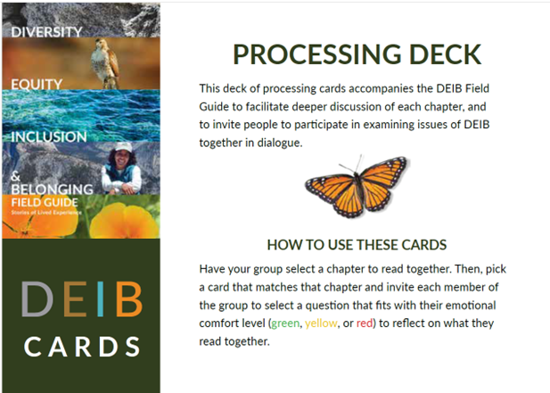 DEIB Process Cards | Training Wheels Gear