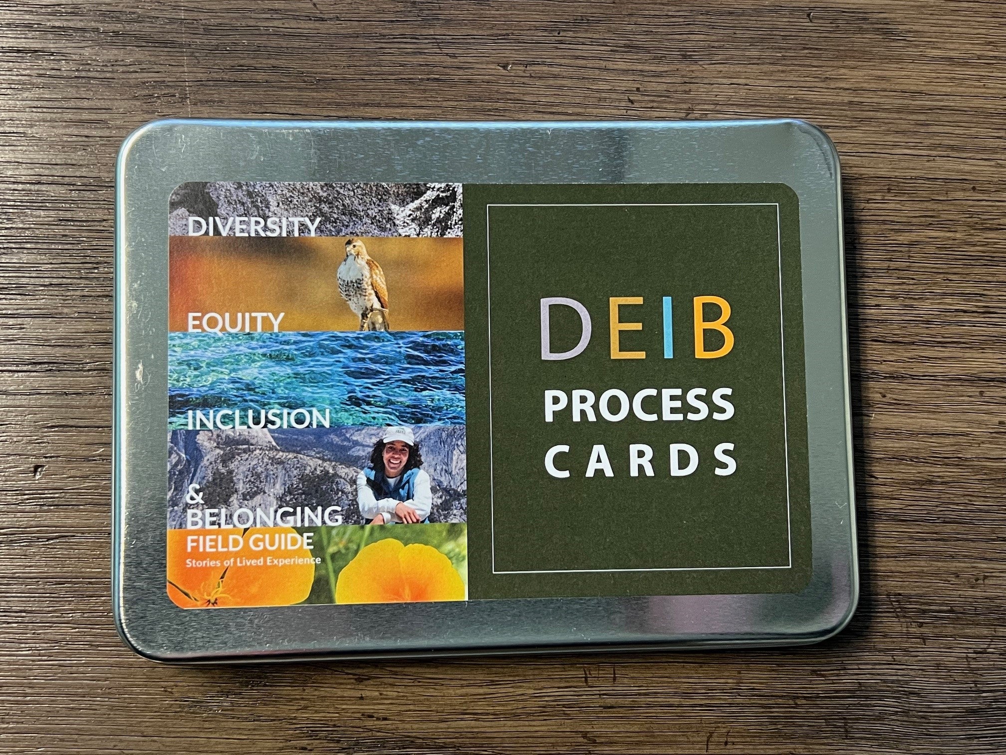 DEIB Process Cards | Training Wheels Gear